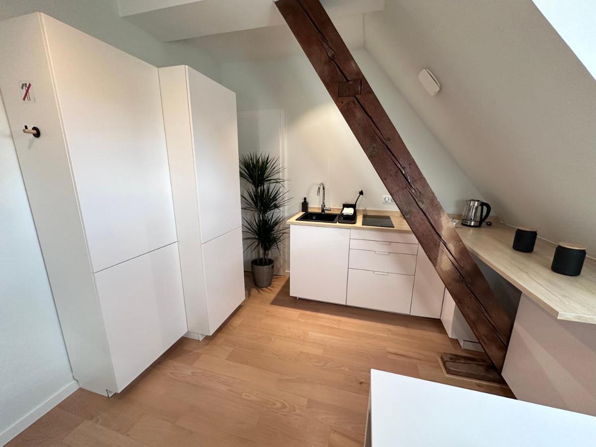 Les Toits De Gutenberg Straatsburg Buitenkant foto